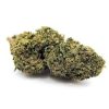 Cannabis pfanze kaufen