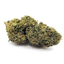 Cannabis pfanze kaufen
